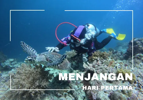 paket tour banyuwangi 2h 1m – menjangan