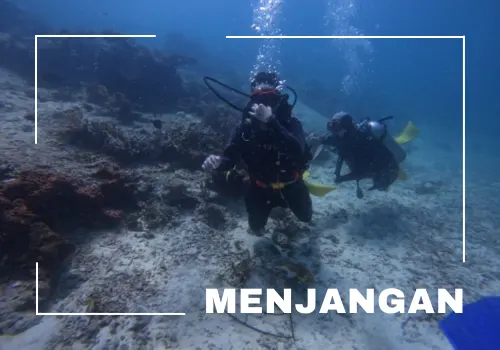 tour banyuwangi 1 hari menjangan bali