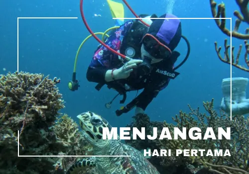 paket tour banyuwangi 3h2m menjangan
