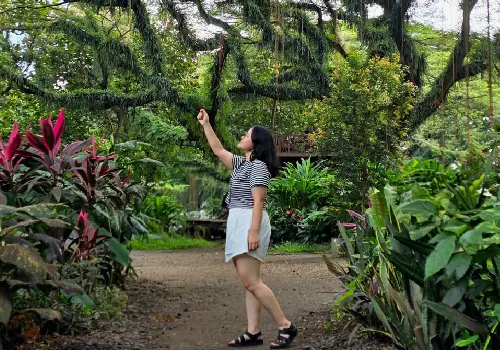 wisata banyuwangi djawatan1