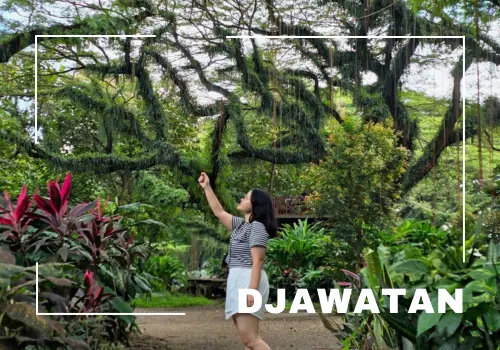 paket wisata 1 hari banyuwangi djawatan