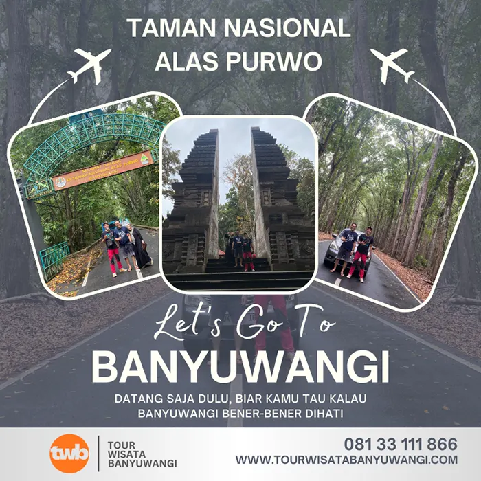 taman nasional alas purwo plengkung pancur goa istana banyuwangi